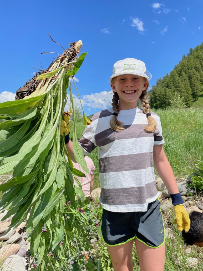A girl in a striped shirt holds a large weed she pulled from the ground.