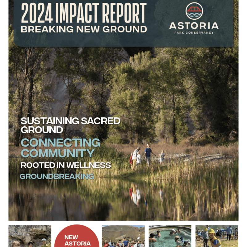 2024 Impact Report