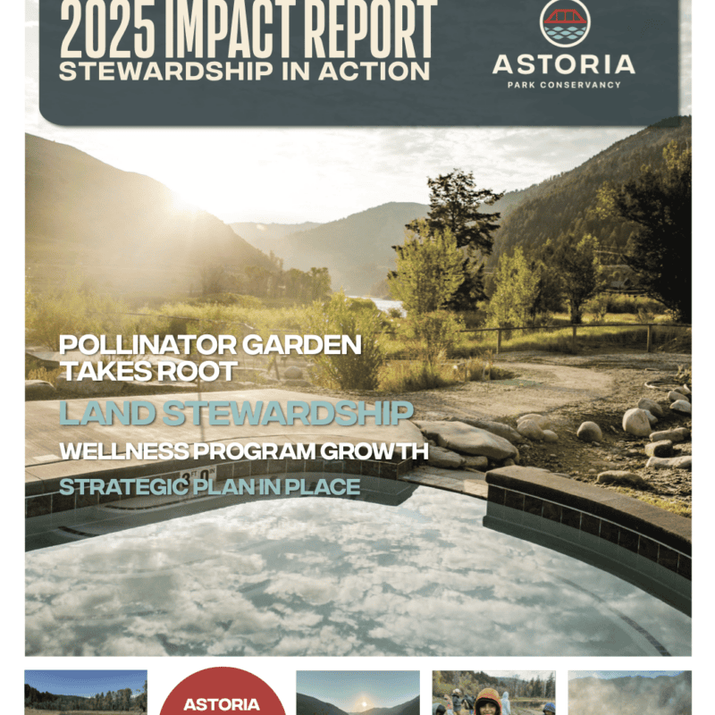 2025 Impact Report